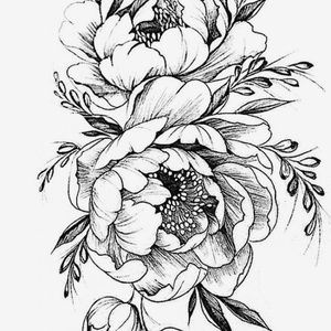 Meet your Posher, Eve-marie